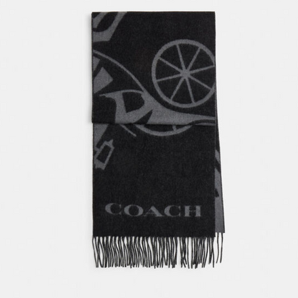 Collection image for: COACH SCARF